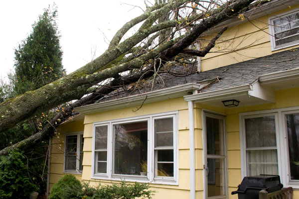 Service Area - Storm Damage Roof Repair